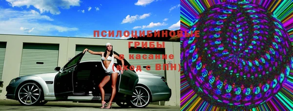 герыч Алексин