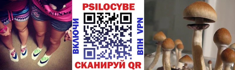 цены наркотик Азов shop Telegram Псилоцибиновые грибы Psilocybe